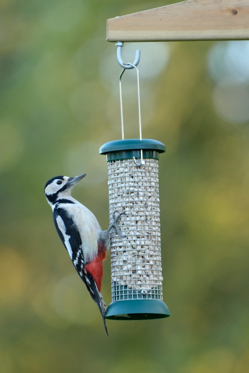 Rspb Classic Peanut Feeder
