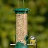 Clean Seed Feeder