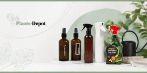 Plant Accessories