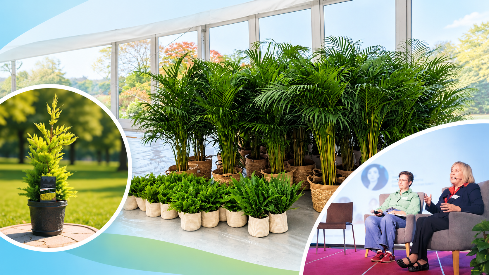 Event Plant Hire Guide
