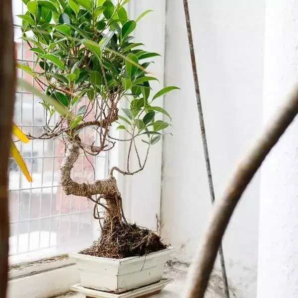 ezgif.com-gif-maker-1-1