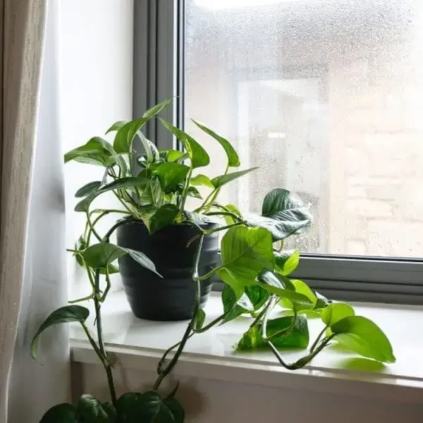 ezgif.com-gif-maker-2-1